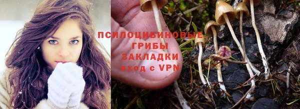 бошки Михайловка