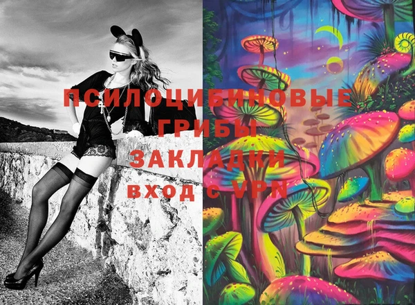 бошки Михайловка