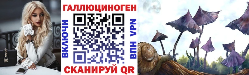 Псилоцибиновые грибы мухоморы  где купить наркоту  Болотное 